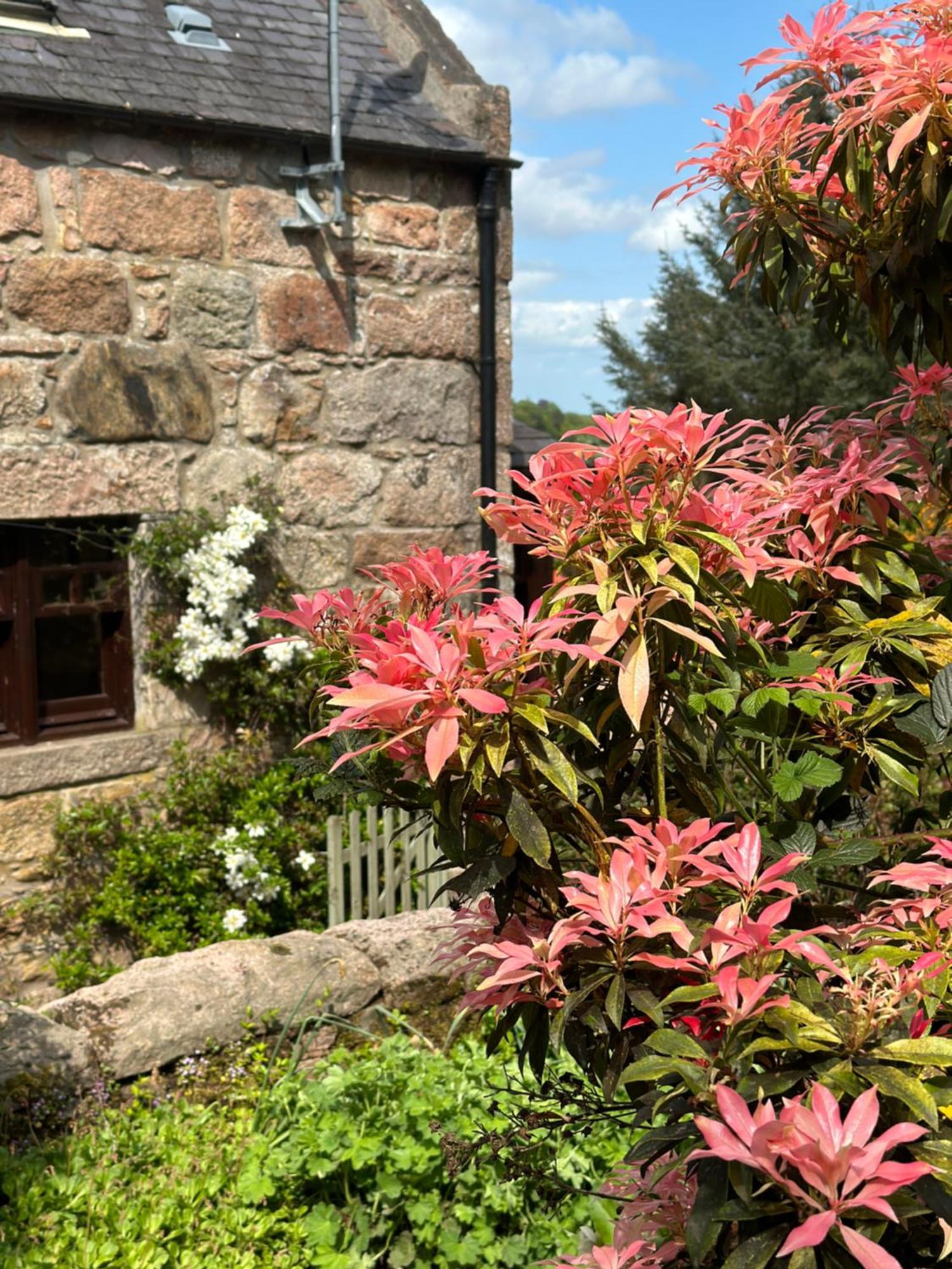 Bed and Breakfast Awakening Alchemy Retreat Centre Инверури Экстерьер фото